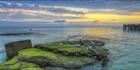 Lord Howe Island - NSW T (PBH4 00 11643)